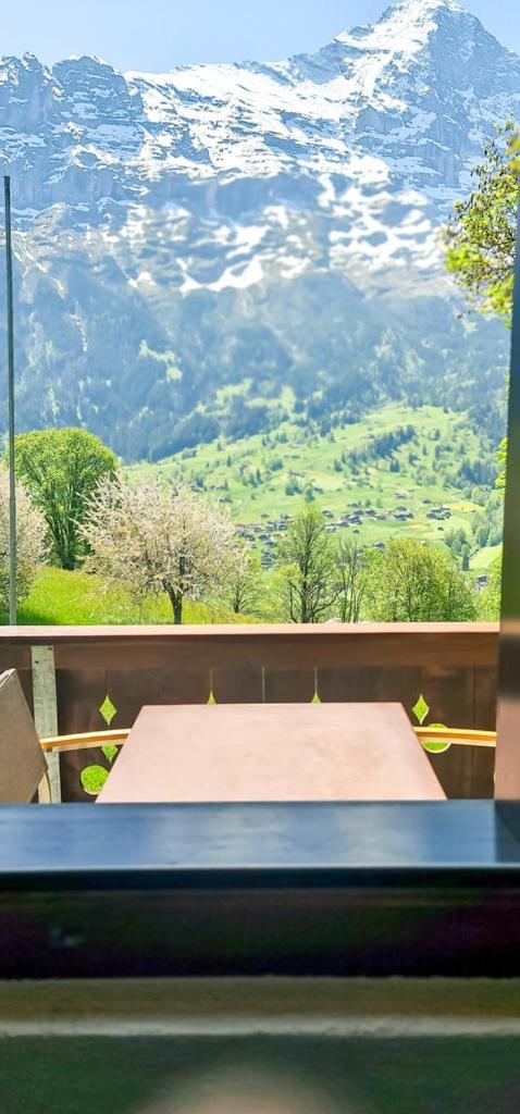 Bussalp Apartment - Aare Jungfrau Ag Grindelwald Exteriér fotografie